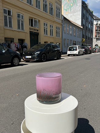 Smuk glas vase / blomstervase / potte plante / glaskunst