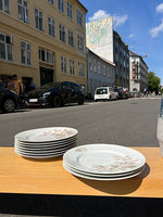 Vintage middags tallerkener / dessert tallerkner med blomster